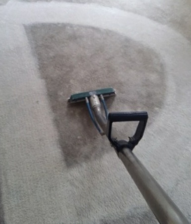 Daves-review2 Carpet Cleaning services in Pacific Palisades
