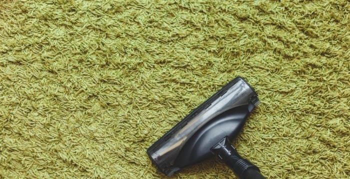 How to Prepare for Professional Carpet Cleaning