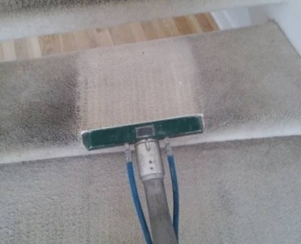 Carpet Cleaning services in Los Angles Carpet Cleaning services in Los Angles